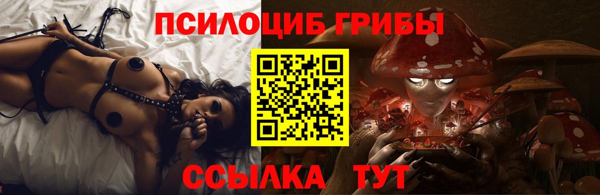 Псков  Галлюциногенные грибы GOLDEN TEACHER  Вход с VPN 