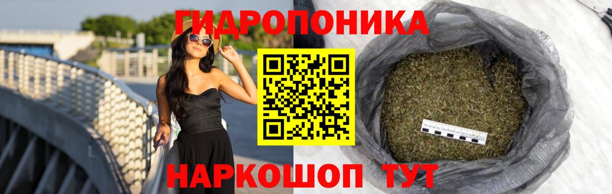 Псков  Каннабис THC 21%  Вход с VPN  МАРИХУАНА ГИДРОПОН 